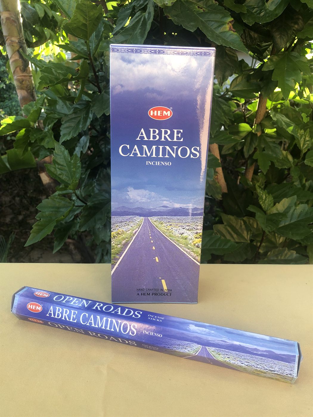 HEM Abre Caminos